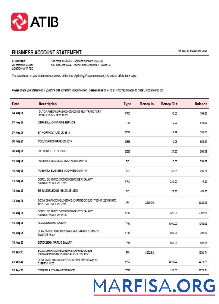 Realistic Assaray (ATIB)firm account statement Word and PDF template (1)